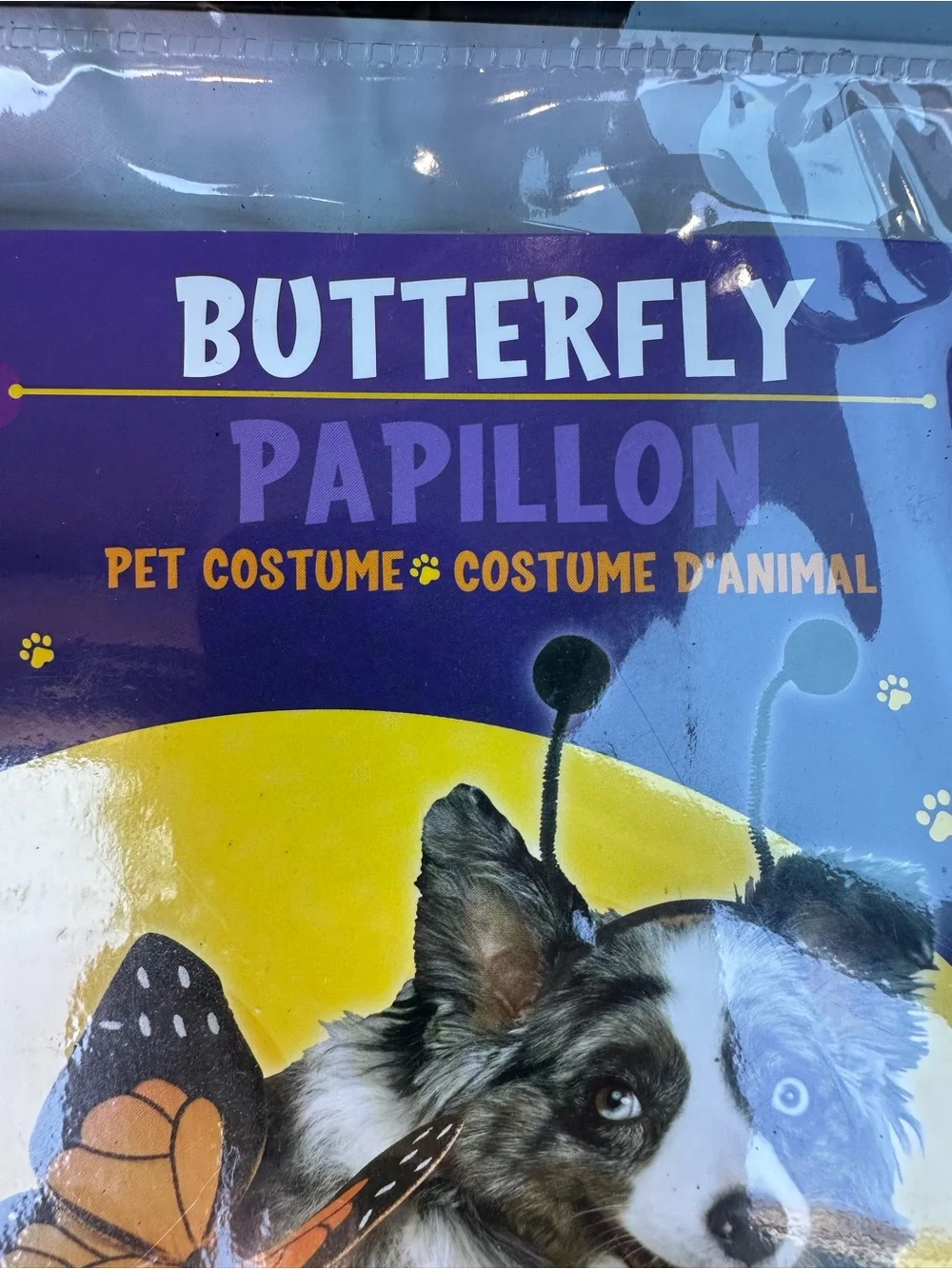 Paw Prints Fun World Butterfly Pet Costume Monarch Wings Headband Size Small